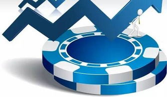 軟件開發公司有哪些能提供專業程度高的外包服務