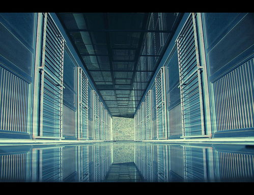 信必優(yōu) 準備好進入多元宇宙了嗎