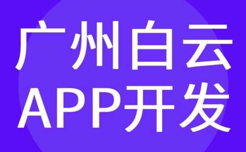 廣州白云區(qū)APP開(kāi)發(fā)與軟件定制外包——紅匣子科技的專業(yè)服務(wù)